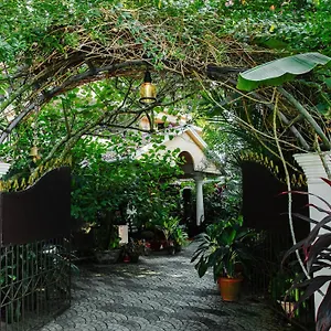 book here